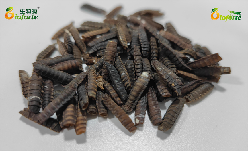 1670209510747505.png image.png